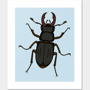 Stag beetle insect illustration Posters and Art